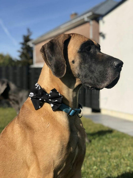 Dimple's Dog Bow Tie Pirate Skulls