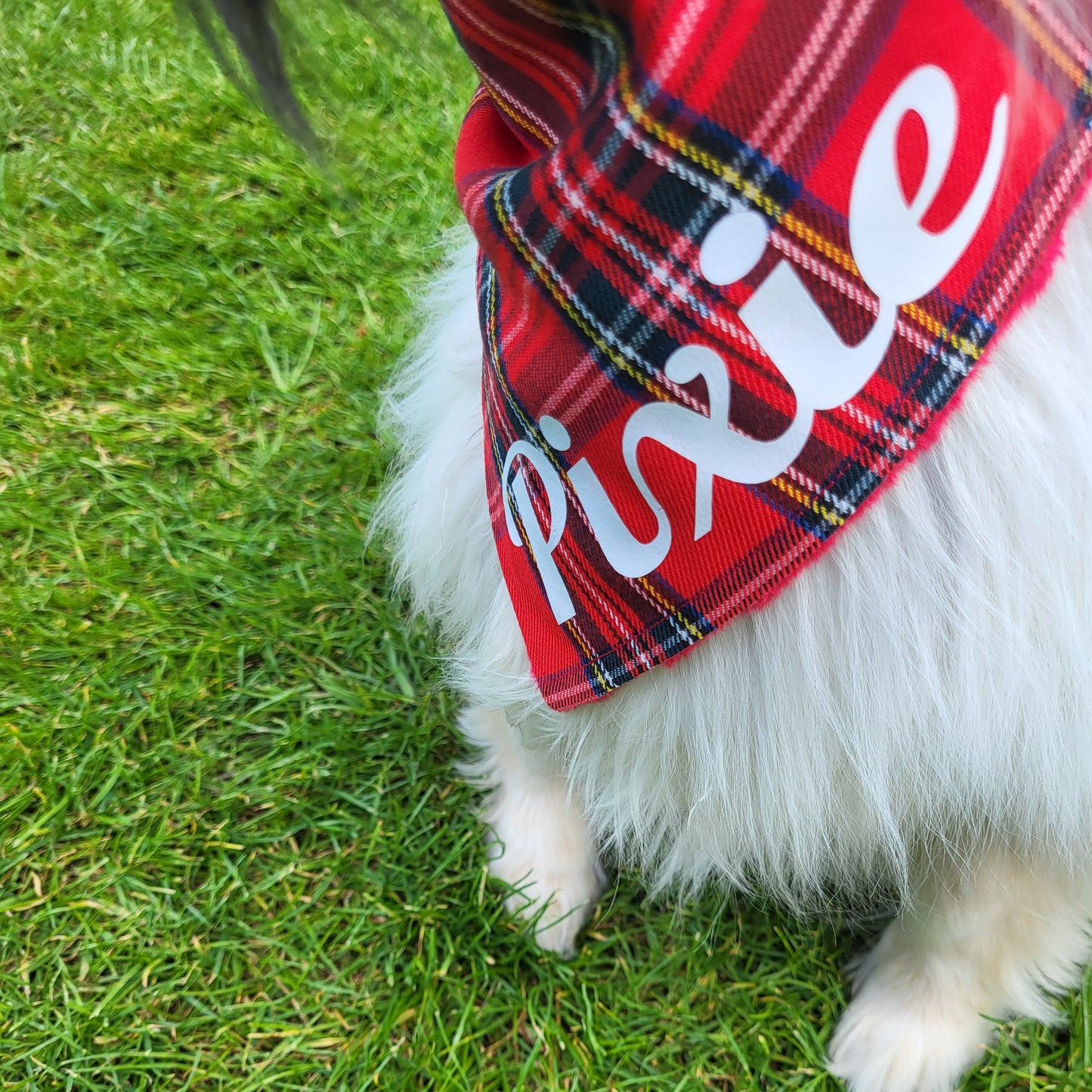 Red Tartan Plaid Dog Bandana - Dog Scarf