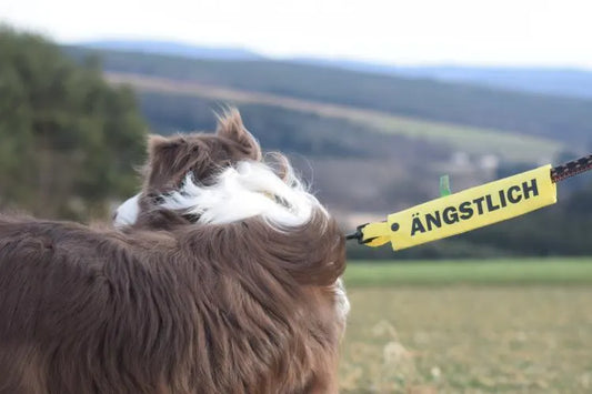 Anxious Leash Sleeve for Dog Leash
