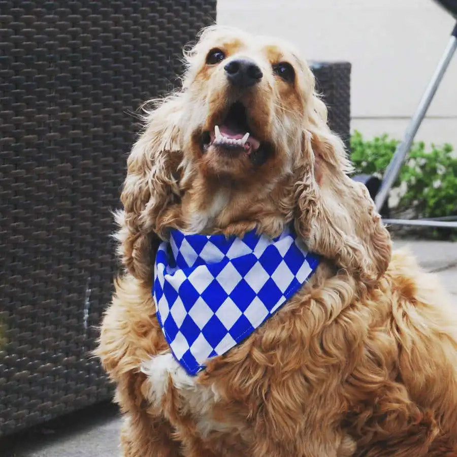 Bavarian Lozenge White Blue Dog Bandana