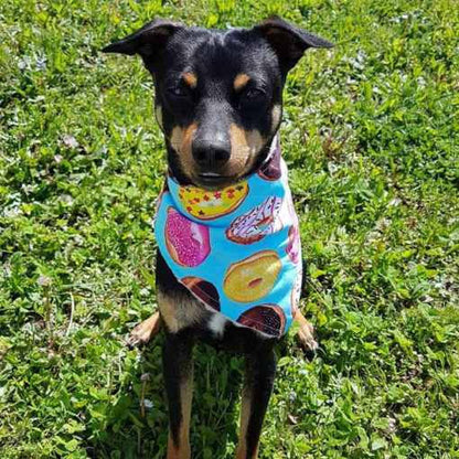 Turquoise Dog Bandana with Cute Donuts