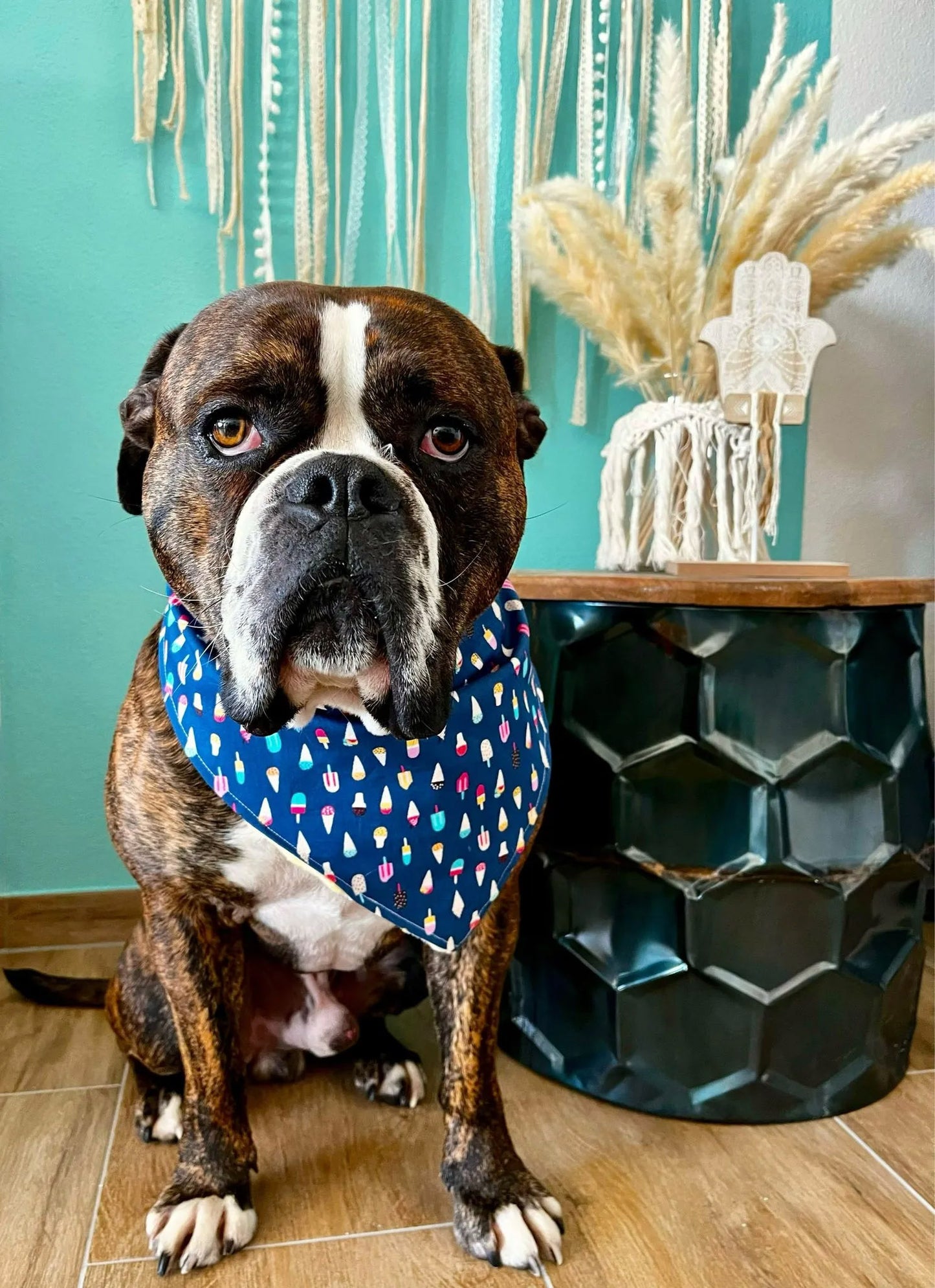 Summer Ice Dog Bandana Dark Blue