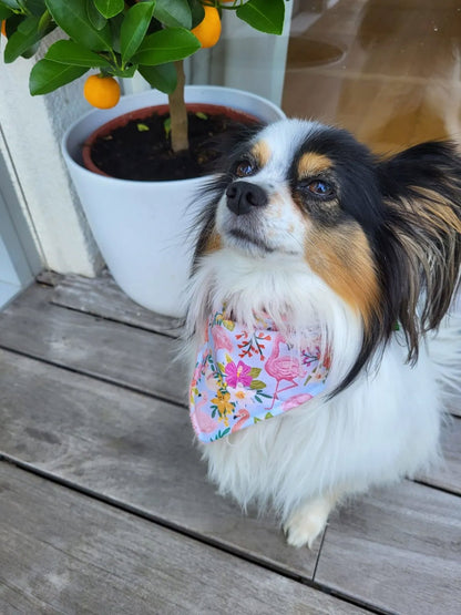 Tropical Flamingos Dog Bandana Pink
