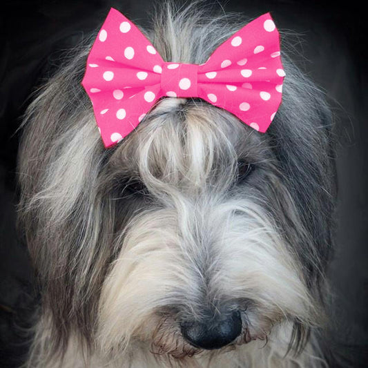 Dimple's Dog Bow Tie Tartan Pink Purple