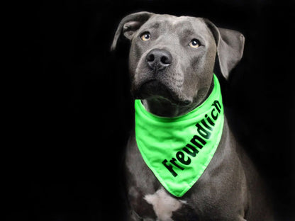 Grünes FREUNDLICH Hundehalstuch Bandana
