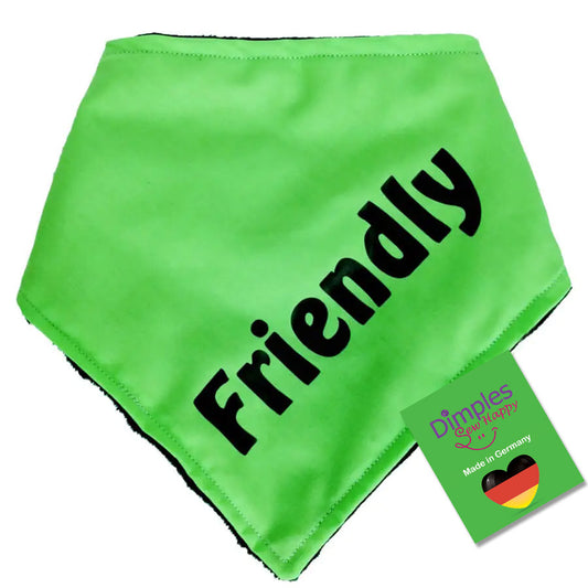Green FRIENDLY Dog Scarf Bandana