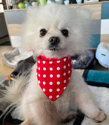 Red Polka Dot Dog Bandana