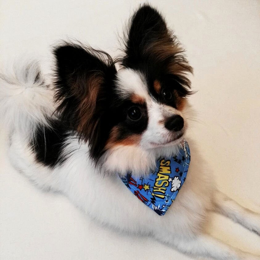 Superhero Dog Bandana in Blue