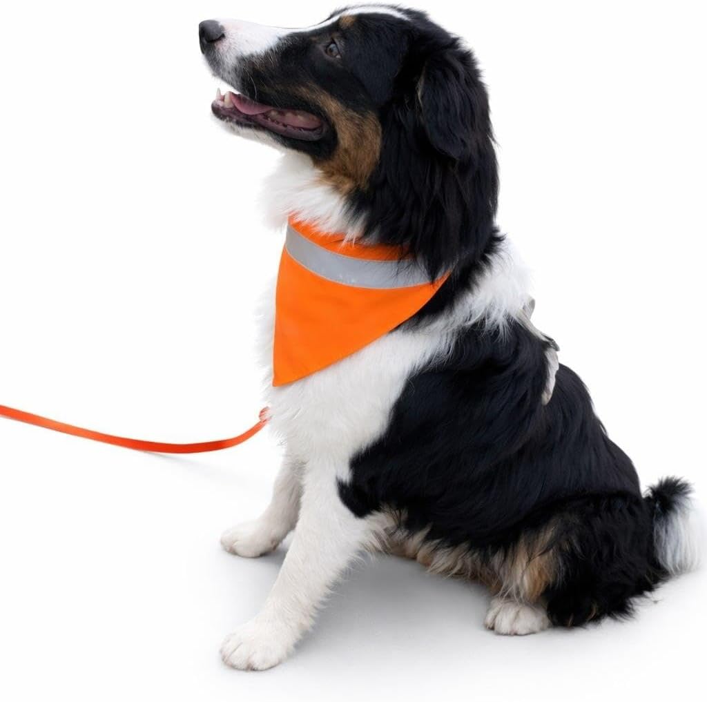 Hundehalstuch neon orange mit Reflektorstreifen - Hohe Sichtbarkeit