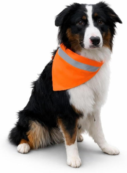 Hundehalstuch neon orange mit Reflektorstreifen - Hohe Sichtbarkeit