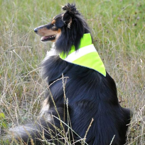 Hundehalstuch neon gelb mit Reflektorstreifen