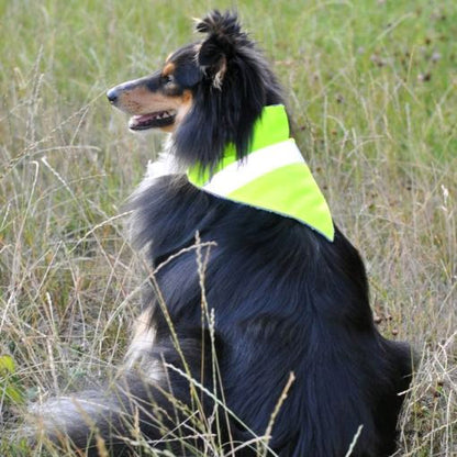 Hundehalstuch neon gelb mit Reflektorstreifen