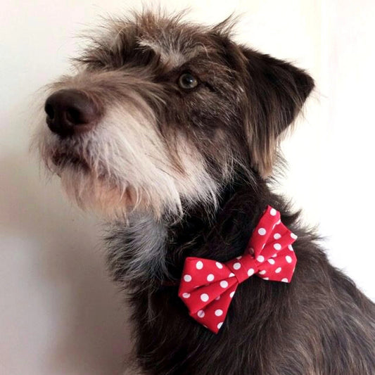 Dimple's Dog Bow Tie Tartan Pink Purple