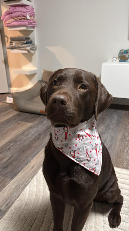 Christmas elf dog bandana for Christmas