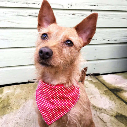 Red and White Checkered Dog Scarf - Plaid Reversible Bandana
