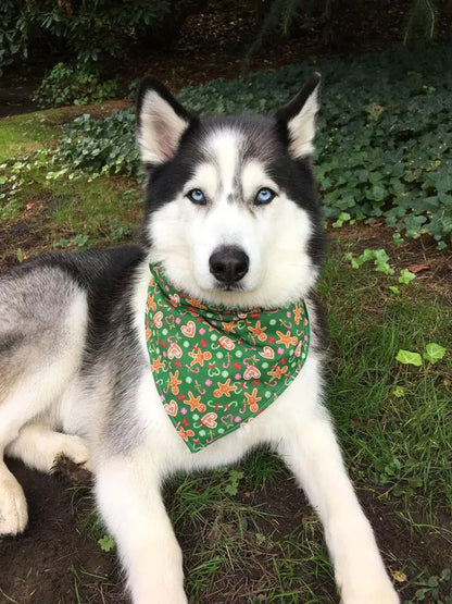 Gingerbread Man Dog Bandana - Christmas Gift