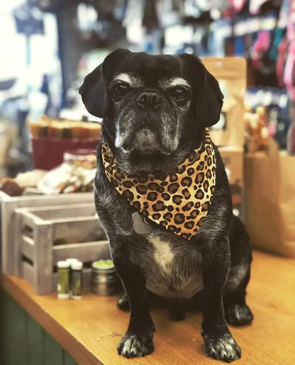 Leopard Print Dog Bandana