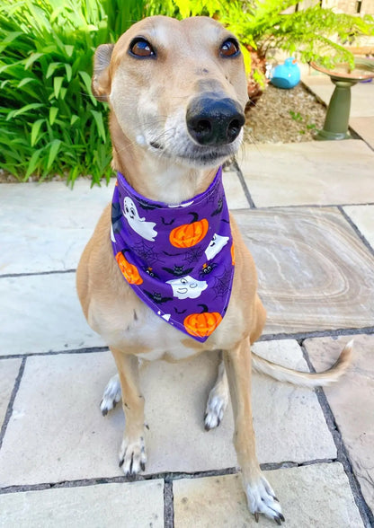 Halloween lila Geister Hundehalstuch Bandana Dimples