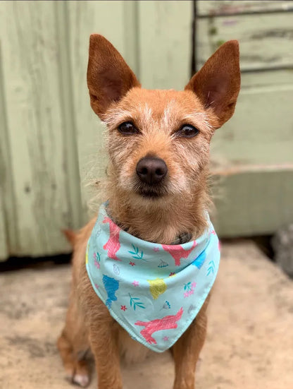 Colorful Easter Bunnies on Turquoise Dog Bandana