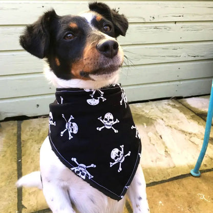 Jolly Roger Pirate Bandana Black with Skulls