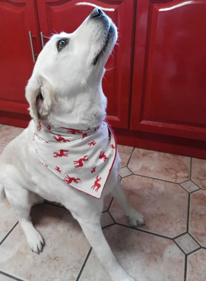 Reindeer Christmas Dog Bandana - Personalized Triangle Bandana