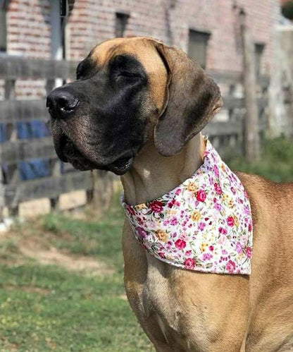 Vintage Roses on Cream Dog Bandana