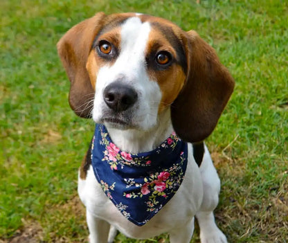 Roses on Dark Blue Dog Bandana