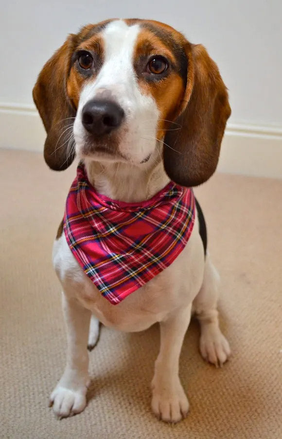 Tartan Plaid Pink Dog Bandana