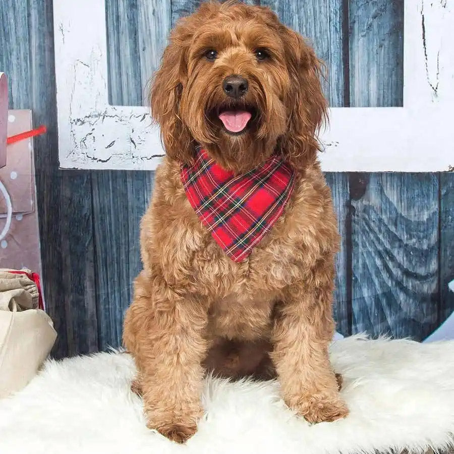 Red Tartan Plaid Dog Bandana - Dog Scarf