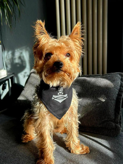 Black dog bandana with Thor's Hammer symbol