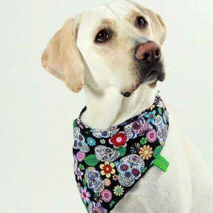Bandana Mexican Skulls Black with Colorful Flowers