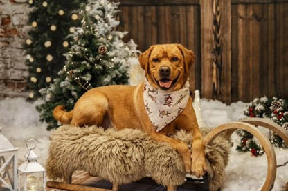 Santa Claus Party Dog Bandana - Bandana
