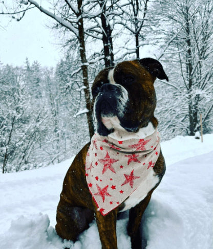 Weihnachtssterne Hundehalstuch Bandana als Hundeweihnachtsgeschenk