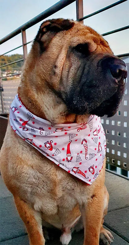 Christmas elf dog bandana for Christmas