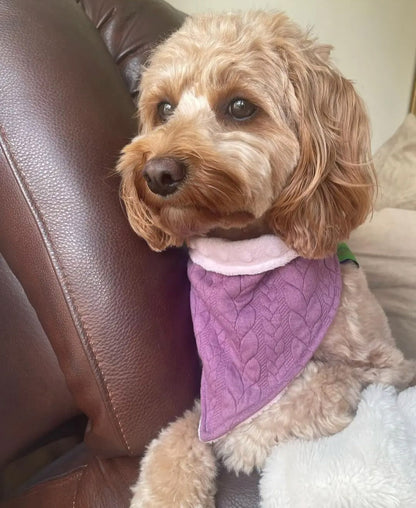 Purple Cable Knit Dog Scarf