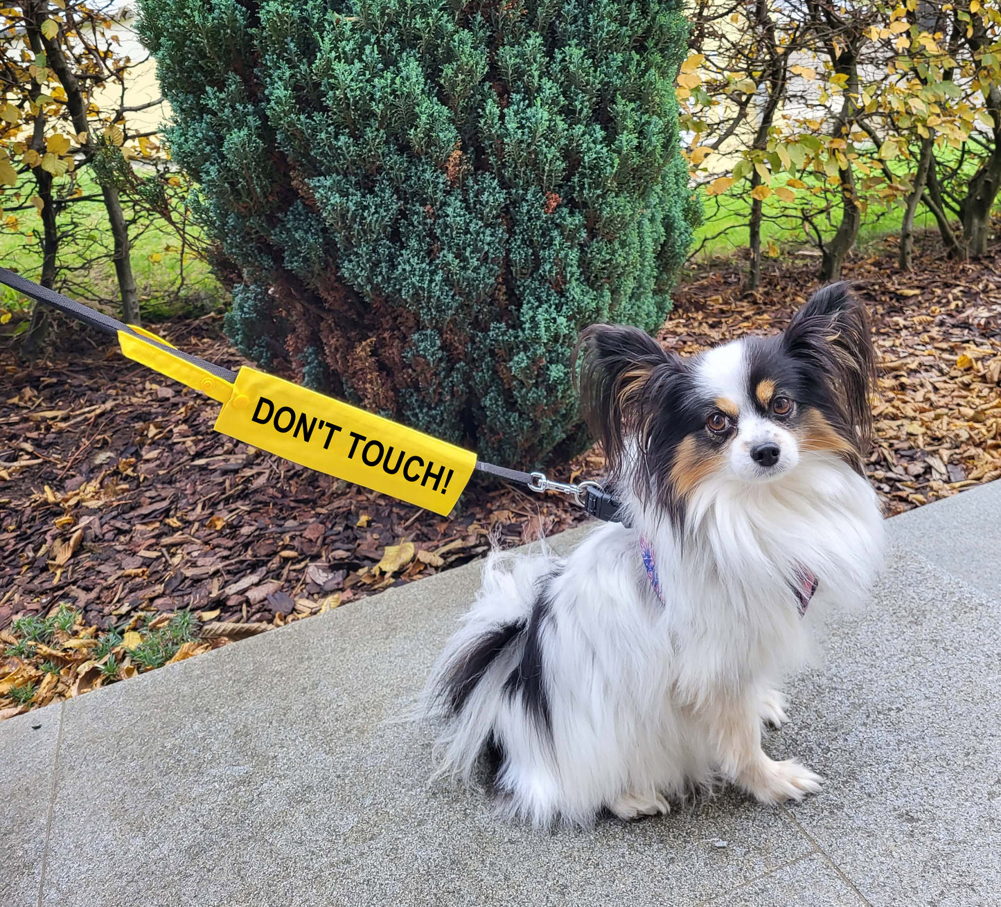 DON'T TOUCH dog lead sleeve cover for dogs that are nervous, in training or aggressive