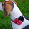 Valentins Blumen Anhänger Für Hundehalsband