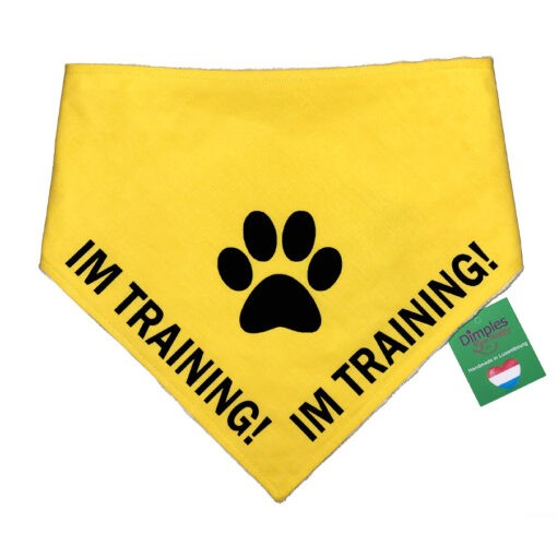 Im Training Hundehalstuch für Assistenzhund